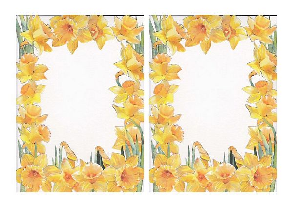 ALL 5 Daffodil Kits to Download - Over 50 x A4 Pages